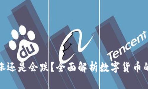 TP钱包里的币会涨还是会跌？全面解析数字货币的投资风险与机遇