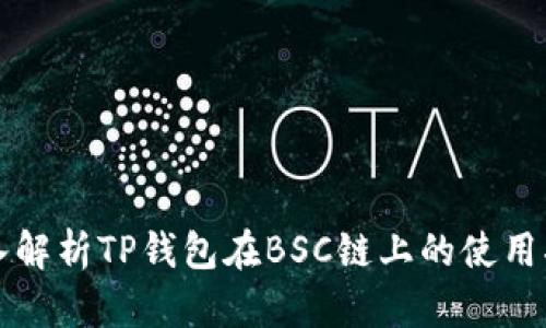 深入解析TP钱包在BSC链上的使用指南