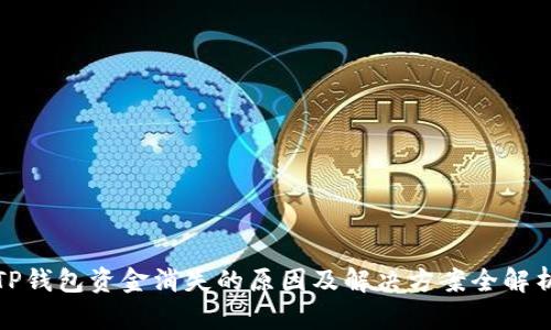 TP钱包资金消失的原因及解决方案全解析